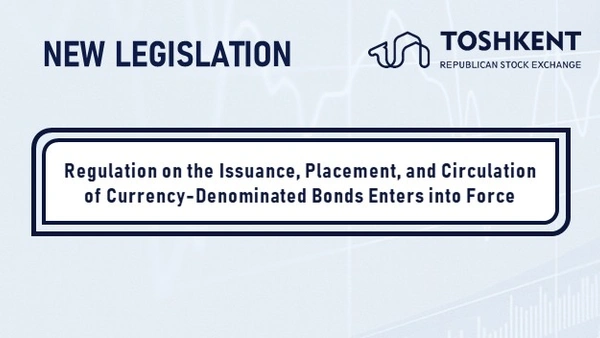Regulation on the Issuance, Placement, and Circulation of Currency-Denominated Bonds Enters into Force