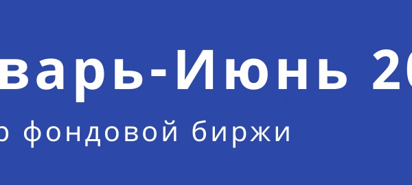 Обзор фондового рынка (январь - июнь)